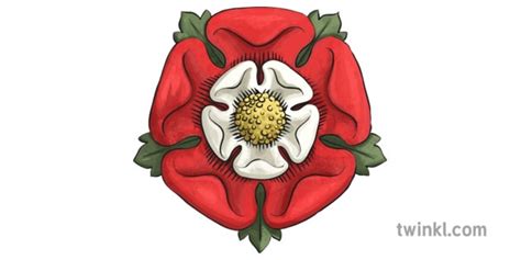 tudor fond rose|the tudor rose.